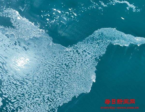 春临青海湖