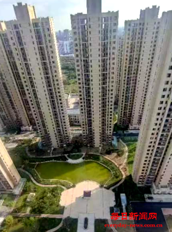 微信图片_20241226131159.png