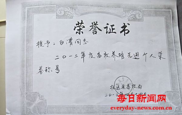11.jpg 11.jpg