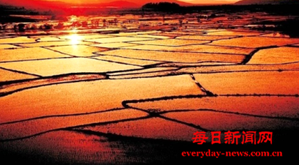 案111111111111111111.png