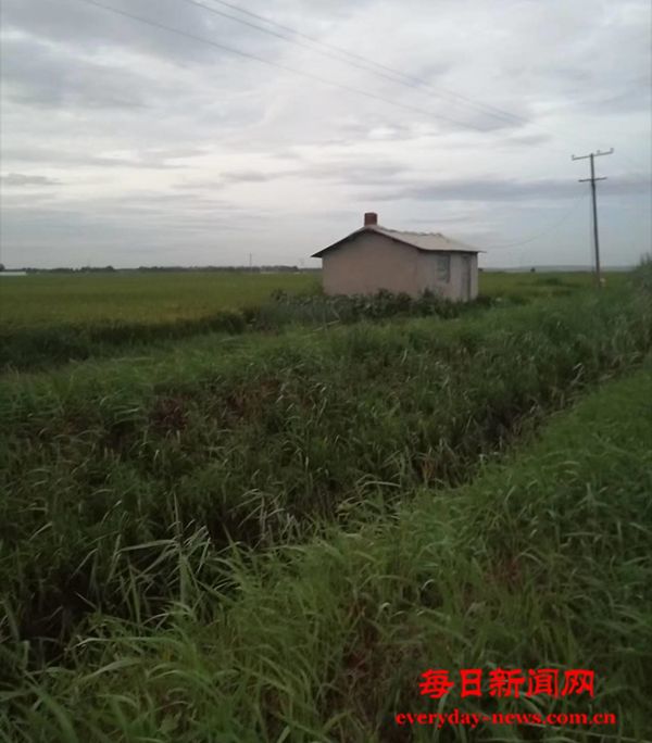 04.jpg 04.jpg