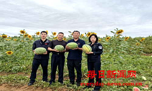 案111111111111111.png 案111111111111111.png