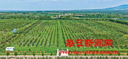 案444444444.png 案444444444.png