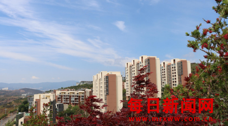 案33333333.png