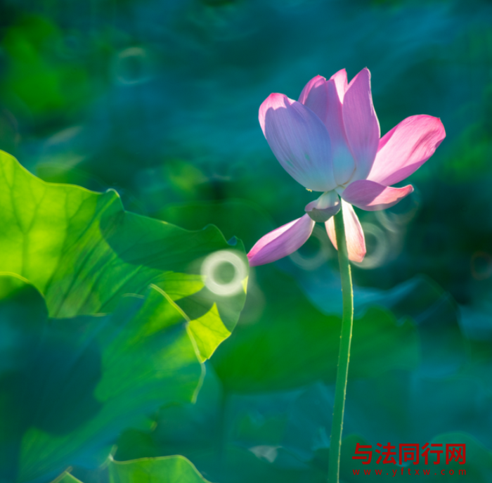 6.png 6.png