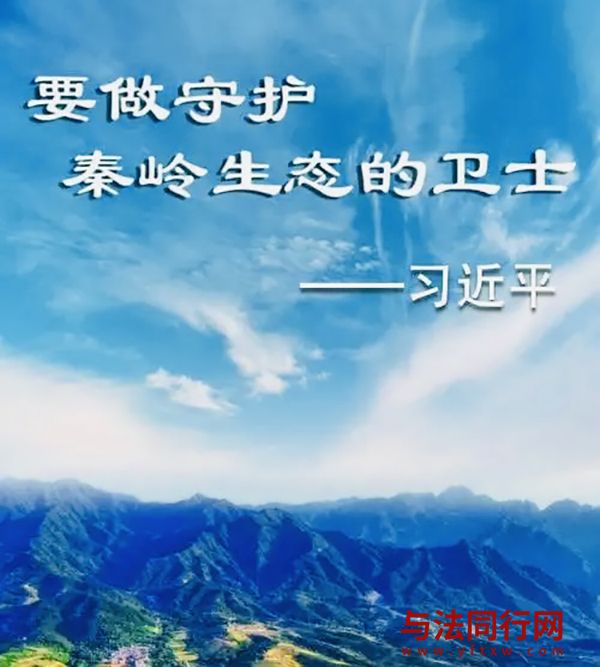 01.jpg 01.jpg