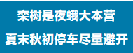 9.png 9.png