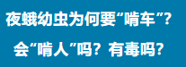 7.png 7.png
