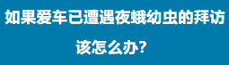 11.png 11.png